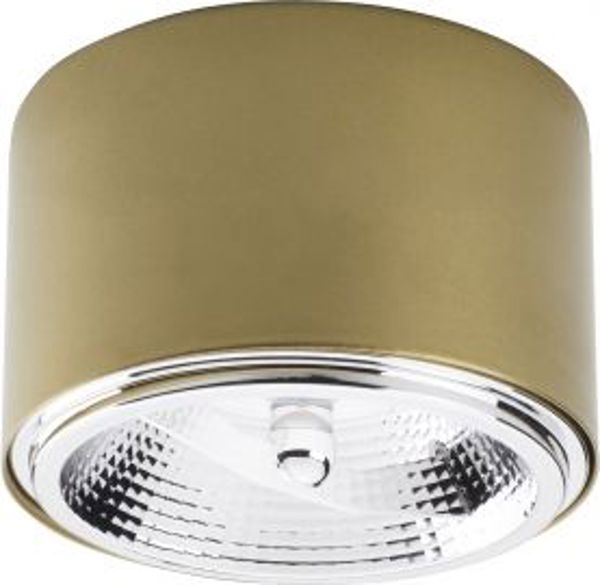 Φωτιστικό Οροφής TK Lighting Spot Moris 3349, 1 Φως, Μεταλλικό, Χρυσό