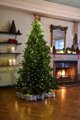 Sirius Anni Tree Χριστουγεννιάτικα Λαμπάκια Δέντρου, 273 LED, 2.1m + 5m Καλώδιο, Πράσινο