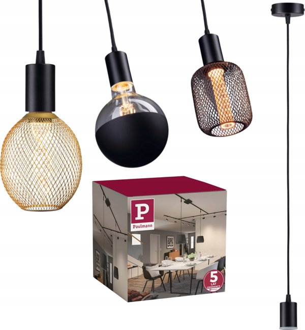 Φωτιστικό οροφής Paulmann Φωτιστικό οροφής RAVI E27 max.60W IP44 230V μαύρο ματ / μέταλλο