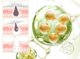 LANBENA Υγρά Μαντηλάκια Καθαρισμού Μύτης 2.0 με 2% BHA 30g