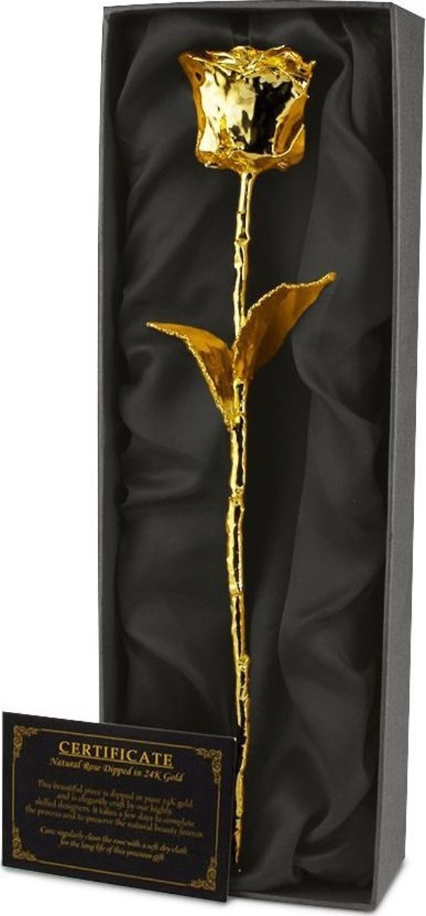 Lassig Φυσικό Επιχρυσωμένο Τριαντάφυλλο - 24K GOLDEN ROSE DELUXE