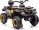 Lean Cars Quad Μπαταρία S615 Κίτρινο 24V 14223285 5905990000000
