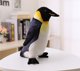Μασκότ LeanToys Plush Emperor Penguin 35 cm 13675268 5905679079096