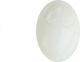 Lean Sport Επιτραπέζιο Παιχνίδι Screaming Egg, 2-4 Παίκτες, Από 3 Ετών