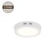 LED PANEL DLED-43 12W 3000K R