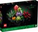 LEGO Creator Succulents (10309) 10397905 5702017189185