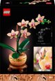 LEGO(R) BOTANICALS 10343 (6τμχ) Μικρή ορχιδέα