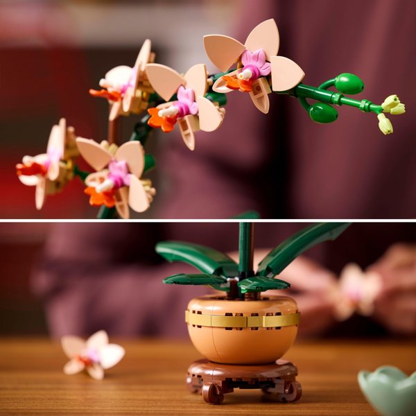 LEGO(R) BOTANICALS 10343 (6τμχ) Μικρή ορχιδέα