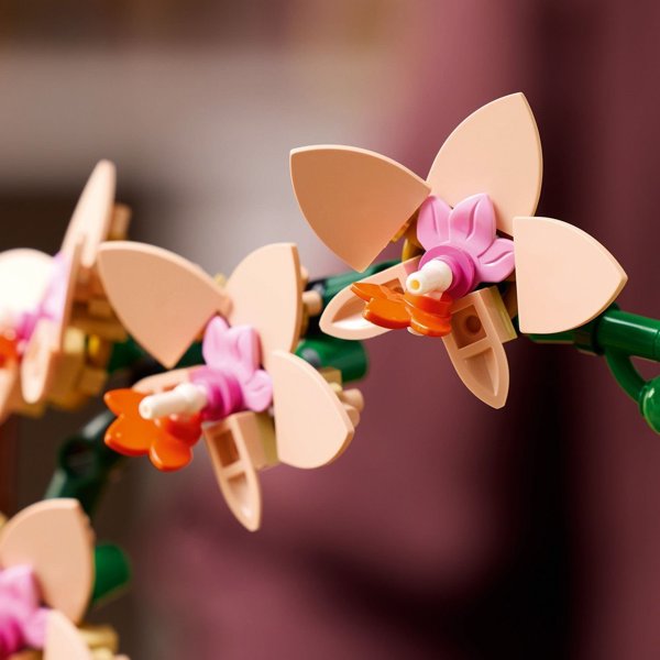 LEGO(R) BOTANICALS 10343 (6τμχ) Μικρή ορχιδέα