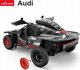 LEGO R/C 1:14 AUDI RS Q e-tron RASTAR