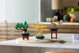 LEGO Botanicals 10373 Μίνι Δέντρα Μπονσάι