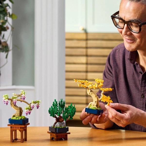 LEGO Botanicals 10373 Μίνι Δέντρα Μπονσάι