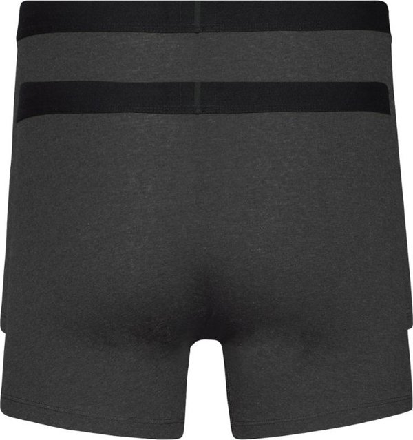 Levi`s Levi's Boxer 2 Pairs Briefs 37149-0404 szary L