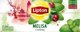 Lipton Τσάι LIPTON, 20 φακελάκια, βοτανικό με μελισσόχορτο και κεράσι