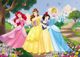 Lisciani Παζλ διπλής όψης maxi 35 Πριγκίπισσες της Disney