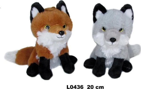 Λίλιουμ 20cm MIX
