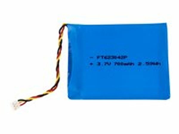 LITHIUM ION BATTERY FOR