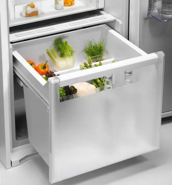 Ψυγείο Electrolux Electrolux ERD6DE18S1