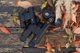 Κιάλια Κιάλια Dorr Scout 8x42 μαύρα