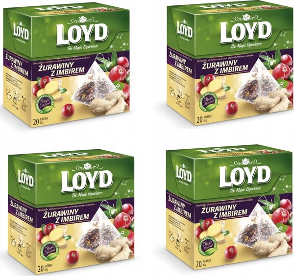 Loyd Τσάι Κράνμπερι με Τζίντζερ 80 Φακελάκια Πυραμίδα
