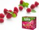 LOYD Herbatka LOYD  Malina - 20 piramidek