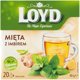 LOYD Τσάι Μέτας με Τζίντζερ 20 πυραμίδες