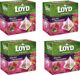 LOYD LOYD Herbata Malina i Truskawka 20torebek piramidki