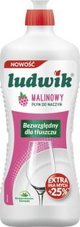 Ludwik Υγρό Πιάτων Βατόμουρο, 900g