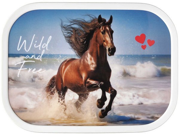 LUNCHBOX CAMPUS WILD HORSE 107440065401