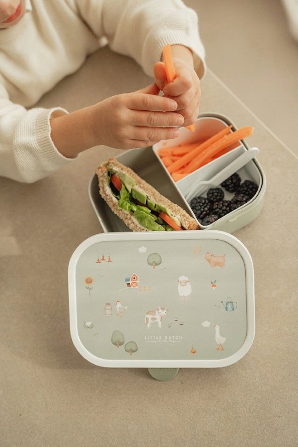 LUNCHBOX CAMPUS FOOD FEST 107440065405