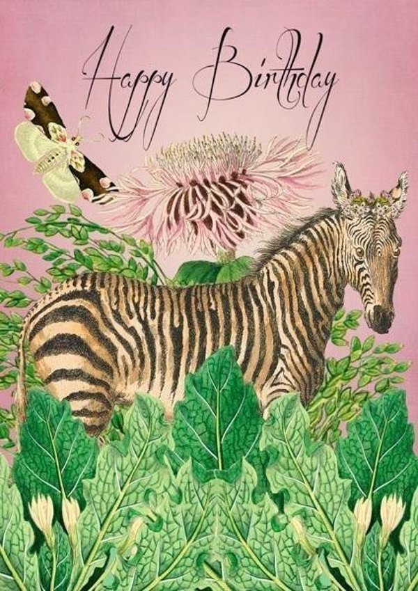 Madame Treacle Κάρτα Γενεθλίων Zebra B6 με Φάκελο, HB219