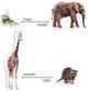 Maksik Magnets Zoo MV 6032-02