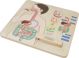 Εκπαιδευτικό Συμβούλιο Masterkidz MASTERKIDZ Digestive System 7966401 6955920014412