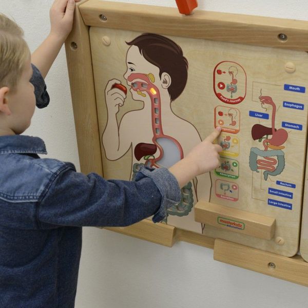 Εκπαιδευτικό Συμβούλιο Masterkidz MASTERKIDZ Digestive System 7966401 6955920014412