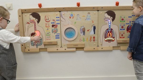 Εκπαιδευτικό Συμβούλιο Masterkidz MASTERKIDZ Digestive System 7966401 6955920014412