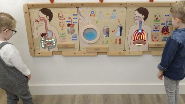 Εκπαιδευτικό Συμβούλιο Masterkidz MASTERKIDZ Digestive System 7966401 6955920014412