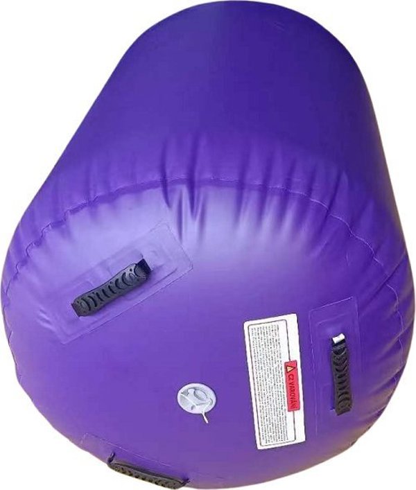 Κύλινδρος Αέρα Master για Άσκηση MASTER 100 x 75 cm Μωβ