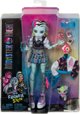 Mattel MH LALKA PODSTAWOWA MIX HPD53 WB4