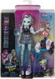 Mattel MH LALKA PODSTAWOWA MIX HPD53 WB4