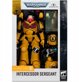 McFarlane Warhammer Intercessor Sergeant Figur 7in