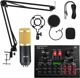 Μικρόφωνο Strado Sodial V8x Pro Kit