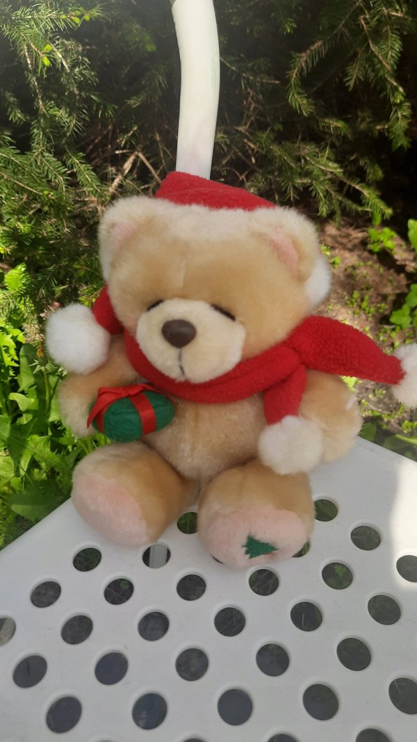 Μίσ Μ-3606 2χρωμο 20cm 159397