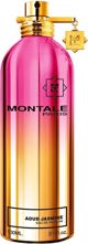 Montale Aoud Jasmine EDP 100 ml