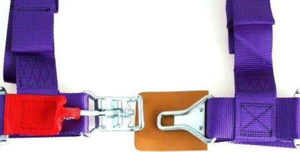 MTuning_F Ζώνες Ασφαλείας 4 Σημείων 2" Μοβ – DTM Sport Safety Belts