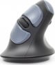 Mysz Yenkee Mysz ergonomiczna pionowa YMS 50350 ERGO USB A , USB C