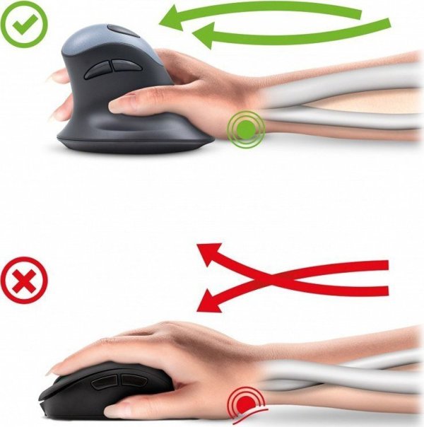 Mysz Yenkee Mysz ergonomiczna pionowa YMS 50350 ERGO USB A , USB C