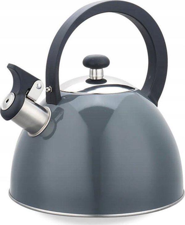 Ανοξείδωτος βραστήρας 2,5L MAESTRO MR-1302(γκρι)