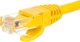 Καλώδιο patch NetRack RJ45, κατ. 6 UTP, 0.25m κίτρινο - BZPAT0256Y
