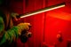 Newell NEWELL Lampa LED RGB Kathi Pro