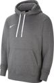 Φούτερ Nike Nike Park 20 Fleece Hoodie CW6894 071 CW6894 071 γκρι XXXL